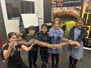 Student Reflection: Wild Action Incursion